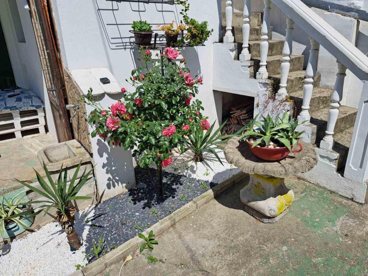 Stefan Apartman Novi Sad Luaran gambar